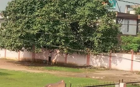 बागडुमर सरपंच और सचिव पर पंच को प्रताड़ित करने का आरोप, मृतक पंच ने सुसाइड नोट में लिखी ये बात...