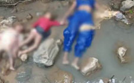 नदी में मिली महिला और 2 बच्चों की लाश:आस-पास के लोगों ने देखा शव, कूदकर जान देने की आशंका
