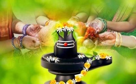 आज है अद्भुत संयोग, शिवलिंग पर चढ़ाएं ये फूल... मिलेगा धन, पितर होंगे प्रसन्न