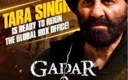 गदर-2 की सक्सेस से सनी देओल गदगद:अपनी टीम के साथ मनाया जश्न, प्राइवेट प्लेन के अंदर का वीडियो सामने आया