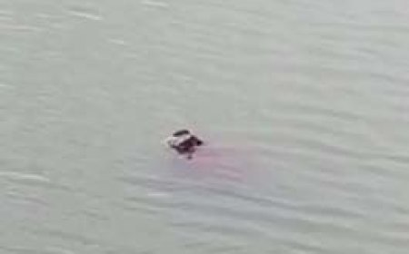 शिवनाथ नदी में तैरता मिला अज्ञात का शव:मछुआरों ने देखते ही पुलिस को किया फोन, पुलिस जांच में जुटी