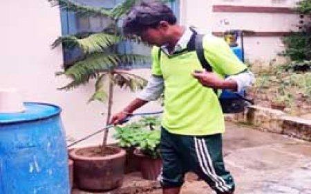 डेंगू के 30 दिन में 70 मरीज मिले दुर्ग जिले में, स्वास्थ्य विभाग जुटा रही जानकारी