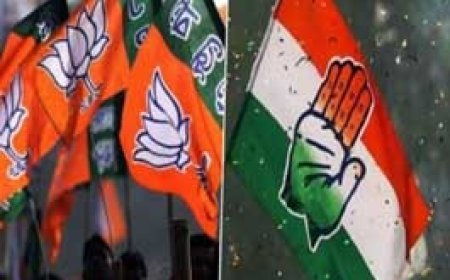 विधानसभा चुनाव; कांग्रेस-भाजपा ने तैयारी की शुरू:ब्लॉक ने बनाया 5-5 नामों का पैनल जिला कांग्रेस 3-3 नाम तय कर भेजेगी