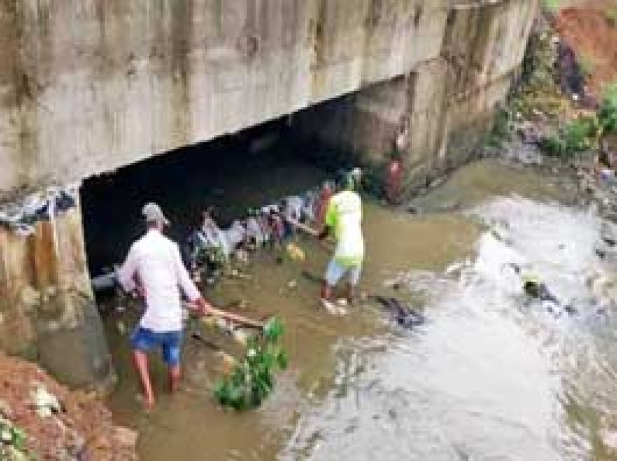 टाउनशिप में बढ़ा डेंगू का कहर: डेंगू के 8 नए मरीज मिले, इनमें 5 केस सेक्टर-2 के, अब तक....