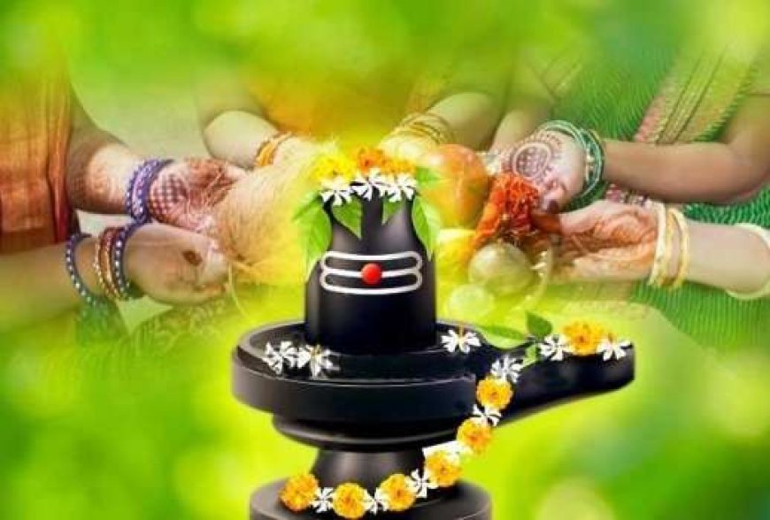 आज है अद्भुत संयोग, शिवलिंग पर चढ़ाएं ये फूल... मिलेगा धन, पितर होंगे प्रसन्न