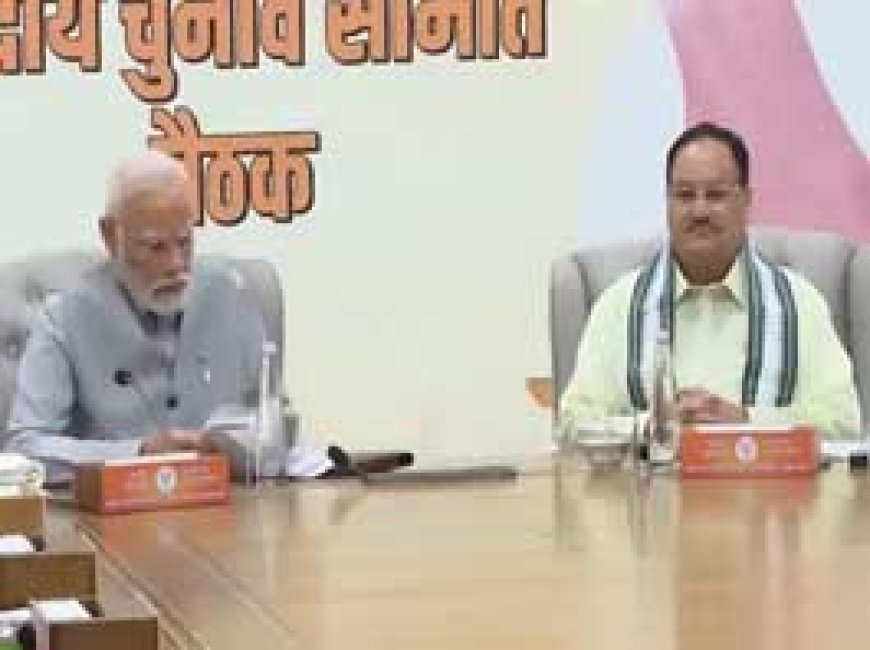 केंद्रीय चुनाव समिति ने किया मंथन, PM मोदी ने छत्तीसगढ़ के नेताओं से सीटों पर की बात