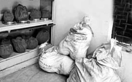 भिलाई के रामनगर मुक्तिधाम में दिवंगत परिजनों का अस्थि कलश रख भूल गए लोगों को निगम ने दी चेतावनी