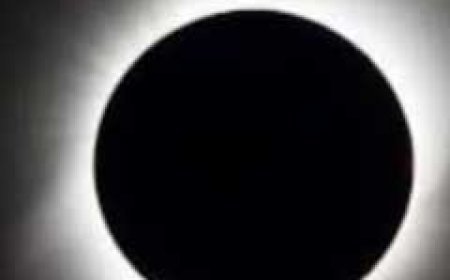 भाद्रपद अमावस्या में ऐसे करें पूजा, मिलेगा पितरों का आशीर्वाद, भूलकर भी ना करें ये गलती