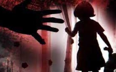 छत्तीसगढ़ में 3 साल की बच्ची से दुष्कर्म:मामा के घर आई थी, पड़ोसी दोस्त घुमाने के बहाने ले गया; वारदात के बाद से फरार