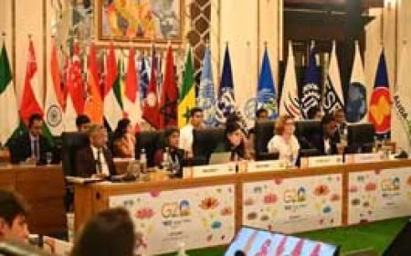 छत्तीसगढ़ में आज से G20 समिट:FWG की चौथी बैठक शुरू, आमंत्रित देशों और अंतर्राष्ट्रीय संगठनों के 65 से अधिक प्रतिनिधि शामिल