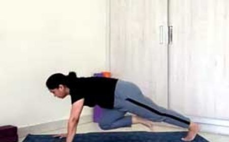 कार्डियो वर्कआउट के लिए करें माउंटेन क्‍लाइंबर व्‍यायाम, कोर मसल्‍स बनेगा मजबूत, छूमंतर होगा मोटापा