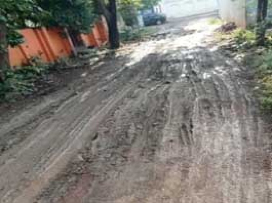 साकेत नगर में नहीं बनी सड़क, जल जमाव से गंदगी:मोहल्लेवासी कलेक्टर जनदर्शन में भी फरियाद कर चुके, लेकिन केवल आश्वासन ही मिला
