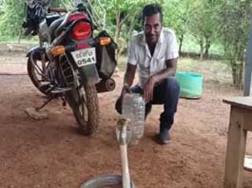 कार पर बैठते ही एएसपी को सांप ने डसा:पैर से निकल रहा था खून, ड्राइवर ने तत्काल दूसरी गाड़ी से पहुंचाया अस्पताल; इलाज जारी