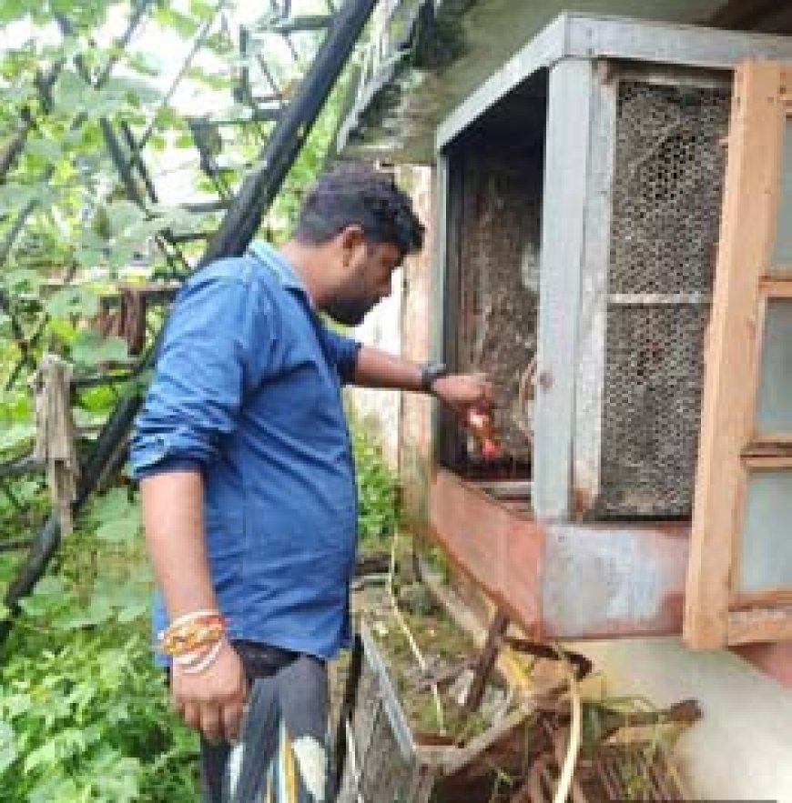 डेंगू के उन्मूलन हेतु इस्पात नगरी में प्रयास जारी, घर घर दस्तक