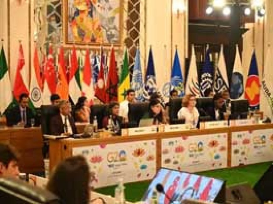 छत्तीसगढ़ में आज से G20 समिट:FWG की चौथी बैठक शुरू, आमंत्रित देशों और अंतर्राष्ट्रीय संगठनों के 65 से अधिक प्रतिनिधि शामिल