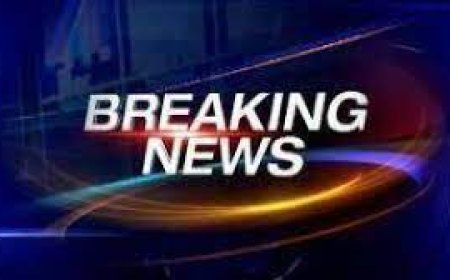 ब्रेकिंग न्यूज : CG में बीजेपी की 64 नामों की दूसरी लिस्ट:सांसद रेणुका सिंह और गोमती साय लड़ेंगी विधानसभा चुनाव