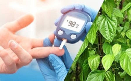 Diabetes Control : डायबिटीज भी कंट्रोल करेगा पान का पत्ता, जानें क्या बोले एक्सपर्ट?