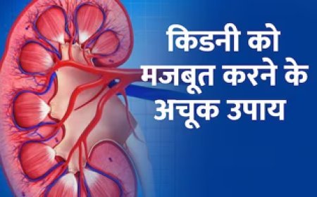 किडनी पर आने वाली हर आफत को मिटा देंगे ये 5 नुस्खे, फायदे भी दिखेगा जल्द, बस शुरू कर दें ये काम