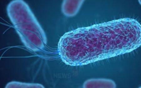 दुनिया को चपेट में लेने के इंतजार में नई महामारी, दवाएं भी बेअसर, एम्‍स की स्‍टडी में दावा