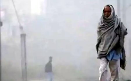 मौसम की खबर : जिले में पिछले सात दिनों में ठंड बढ़ी.... 28 से ठंड और बढ़ने के आसार......