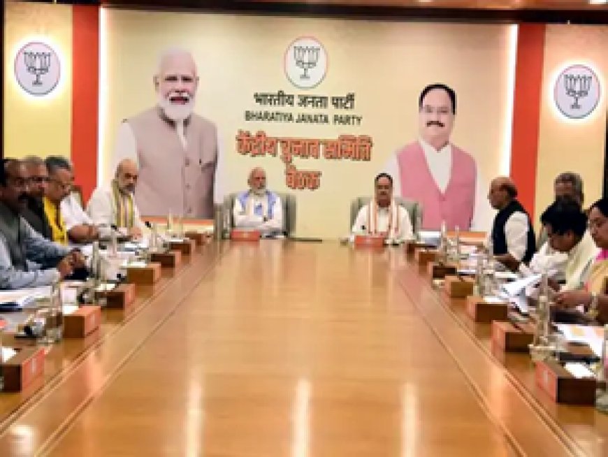 ब्रेकिंग न्यूज : बीजेपी ने लगभग 50 से अधिक नामों को किया फायनल, भिलाई से प्रेम प्रकाश पांडेय का नाम लगभग तय माना जा रहा है और राजनांदगांव से डॉ. रमन सिंह का नाम लगभग तय माना जा रहा है....