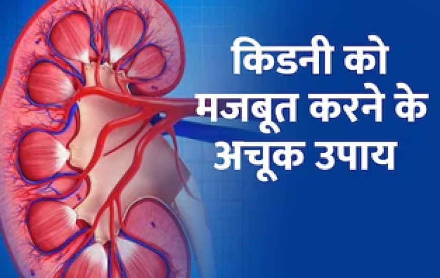 किडनी पर आने वाली हर आफत को मिटा देंगे ये 5 नुस्खे, फायदे भी दिखेगा जल्द, बस शुरू कर दें ये काम
