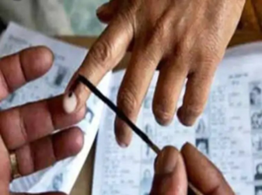 मतदान के लिए 12 प्रकार के पहचान पत्र मान्य रहेंगे, जारी कर दिए हैं निर्देश