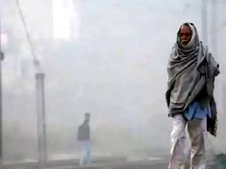 मौसम की खबर : जिले में पिछले सात दिनों में ठंड बढ़ी.... 28 से ठंड और बढ़ने के आसार......