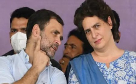 7 महीने में प्रियंका गांधी का 6वां छत्तीसगढ़ दौरा:बालोद में चुनावी सभा में होंगी शामिल, 8 नवंबर को अंबिकापुर आएंगे राहुल गांधी