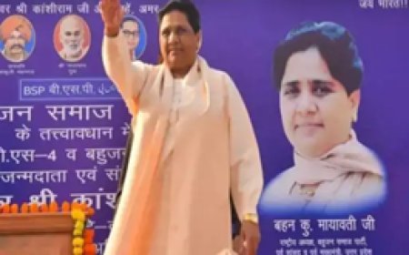 9 नवबंर को मायावती का छत्तीसगढ़ दौरा:सक्ति और बिलासपुर में करेंगी चुनावी सभा, जानिए मिनट टू मिनट कार्यक्रम