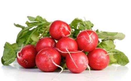 धरती के नीचे से निकलने वाली ये 5 चीजें मोटापे पर लगाएगी लगाम, ऐसे करेंगे सेवन तो कुछ ही दिनों में घटने लगेगा वजन