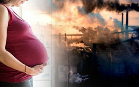 वायु प्रदूषण से गर्भवती महिलाओं पर पड़ा बुरा प्रभाव, प्रीमैच्योर डिलीवरी बढ़ी, ऐसे करें बचाव