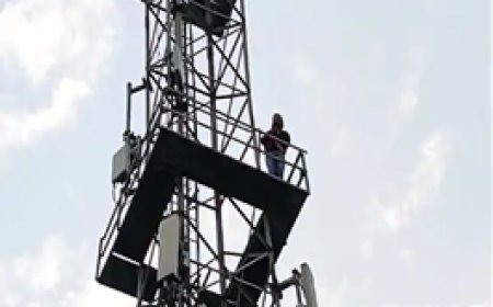 भिलाई में मोबाइल टावर पर चढ़ा शख्स नीचे उतरा:मारपीट करने वाले आरोपी पार्षद और बेटे की गिरफ्तारी की मांग; दुर्ग सांसद ने दिया आश्वासन