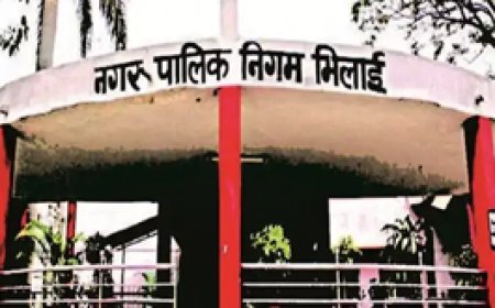 दुर्ग में रात 10 बजे के बाद नहीं बजेंगे डीजे-साउंड:नगर निगम ने बनाई टीम, मानक से अधिक तेज आवाज होने पर होगी कार्रवाई