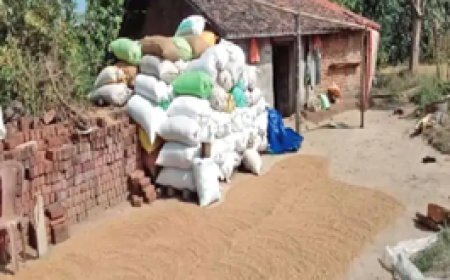 गरियाबंद (देवभोग), महासमुंद, धमतरी, कवर्धा, रायगढ़, बलरामपुर में निगरानी:ओडिशा समेत सीमावर्ती सात राज्यों से तस्करी का धान रोकने लगे 200 नाके