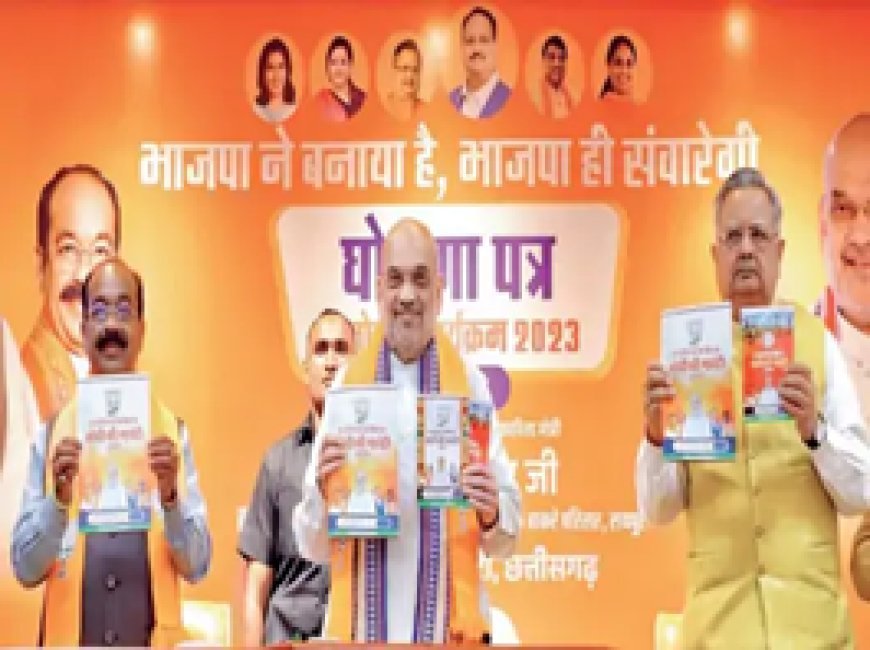 मोदी गारंटी के नाम से भाजपा का घोषणा-पत्र:3100 रु. में धान, विवाहित महिला को सालाना 12 हजार रुपए, 1 लाख सरकारी नौकरी देने का भी वादा