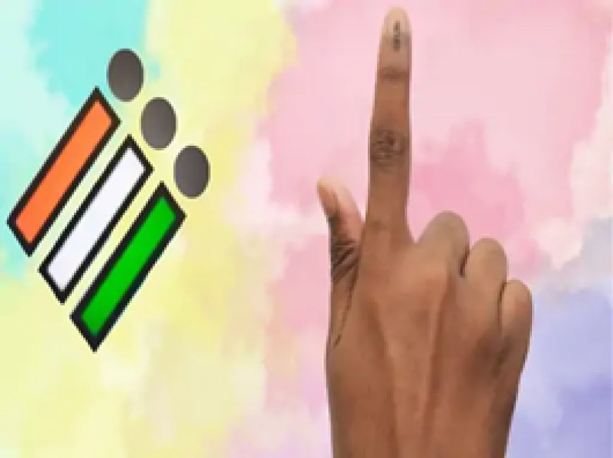 छत्तीसगढ़ में पहले चरण की 20 सीटों पर वोटिंग कल:223 प्रत्याशी आजमा रहे किस्मत, आप इन 12 दस्तावेजों के साथ कर सकेंगे मतदान