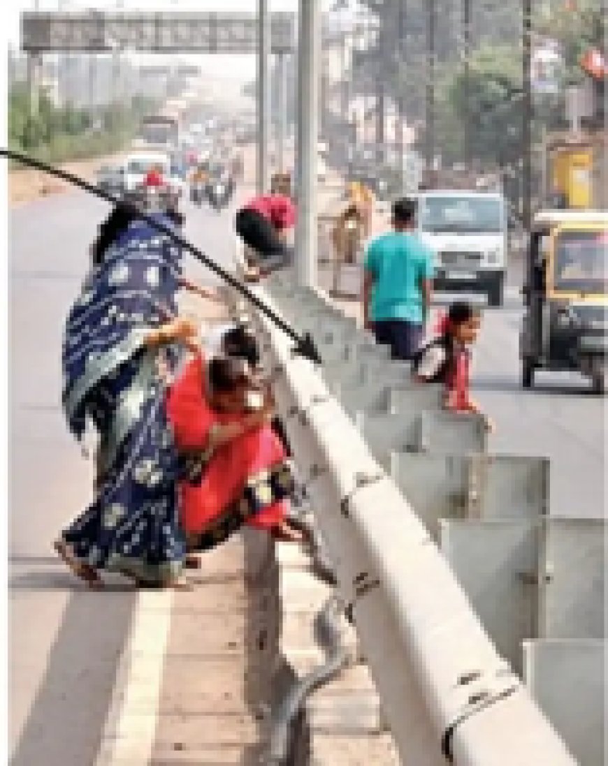 10 मीटर की दूरी तय करने के लिए डेढ़ किमी दूर जाकर वापस आना पड़ता है, इसलिए जान जोखिम में डालकर बच्चे हाईवे क्रॉस कर...