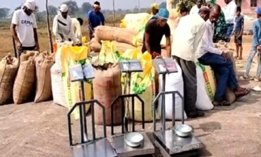 बायोमेट्रिक मशीन के जरिए तेजी से हो रही धान की खरीदी, धान का उठाव कम होने से धान खरीदी हो रही है प्रभावित