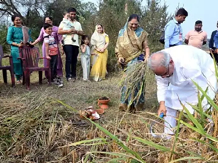 सीएम भूपेश ने परिवार के साथ काटी धान की फसल:कहा- इस बार हमें भी मिलेगा कर्जमाफी का लाभ, कर्ज लेकर धान बुआई की थी