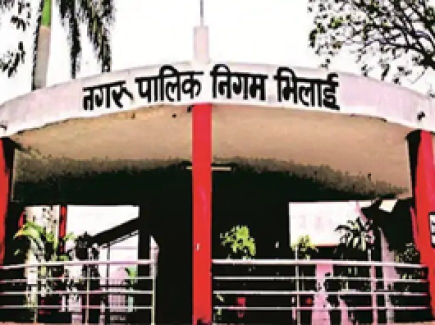 दुर्ग में रात 10 बजे के बाद नहीं बजेंगे डीजे-साउंड:नगर निगम ने बनाई टीम, मानक से अधिक तेज आवाज होने पर होगी कार्रवाई
