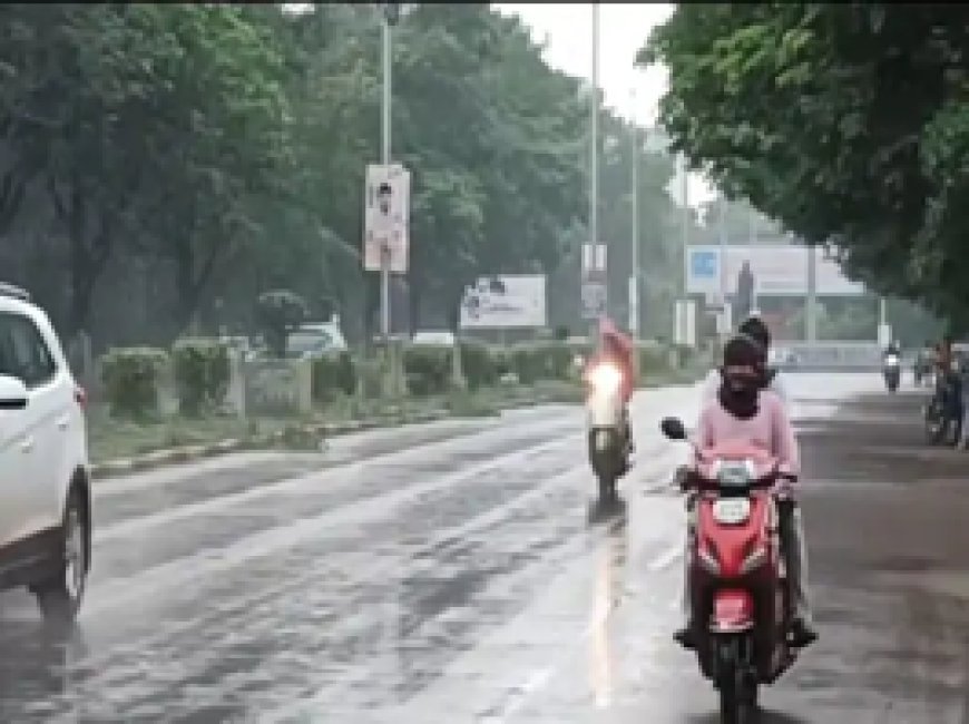 बारिश ने भिगाया, ठंड ने कंपकपाया:दिनभर हुई हल्की बारिश से गिरा तापमान, कल भी बादल छाए रहने के आसार