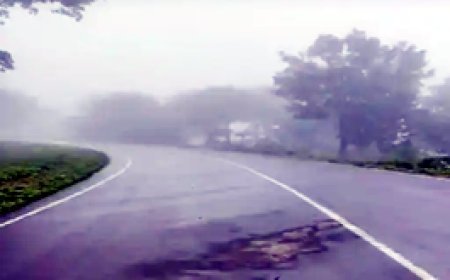 छत्तीसगढ़ में दिखेगा चक्रवाती तूफान मिचौंग का असर:बिलासपुर और सरगुजा संभाग में आज बारिश के आसार....