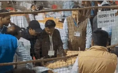 छत्तीसगढ़ इलेक्शन रिजल्ट:भाजपा को फिर बहुमत, 50 सीटों पर आगे; सीएम भूपेश, सिंहदेव, विधानसभा अध्यक्ष और 7 मंत्री पीछे