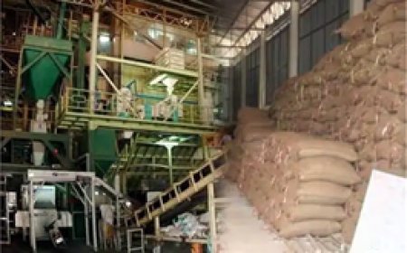 73 करोड़ का चावल डकार गए जिले के राइस मिलर्स....70 प्रतिशत से कम चावल जमा करने वालों से नहीं होगा कस्टम मिलिंग का अनुबंध