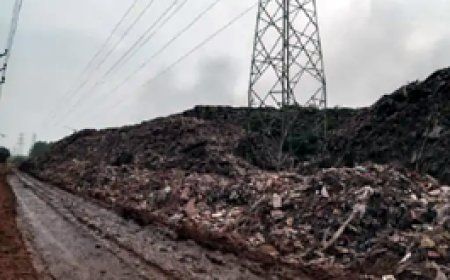 भिलाई निगम की सफाई ठेका कंपनी पर बिजली विभाग के इंजीनियर ने की शिकायत, FIR दर्ज.....