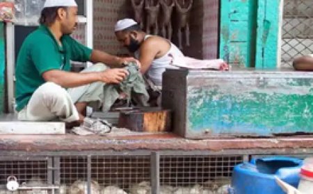 रायपुर में खुले में मांस बेचने पर एक्शन:अधिकारी बोले- आस-पास फैलती है गंदगी; आज से 2 दिन चिकन-मटन शॉप बंद रखने का भी आदेश