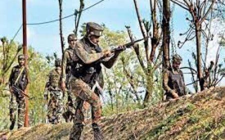 सरकार बनने के बाद नक्सलियों के खिलाफ ‘सर्जिकल स्ट्राइक’:सुकमा में 5-6 नक्सलियों को लगी गोली; CM साय की बैठक के बाद कार्रवाई में तेजी