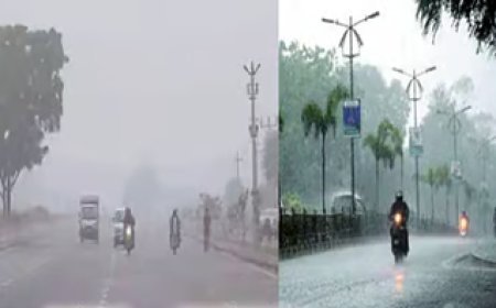 बिना ठंड के गुजरेगा साल, नए साल से मौसम में बदलाव के साथ बारिश की संभावना