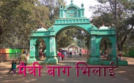 01 जनवरी को मैत्री बाग में टिकट लेने हेतु ऑनलाईन पेमेंट अनिवार्य